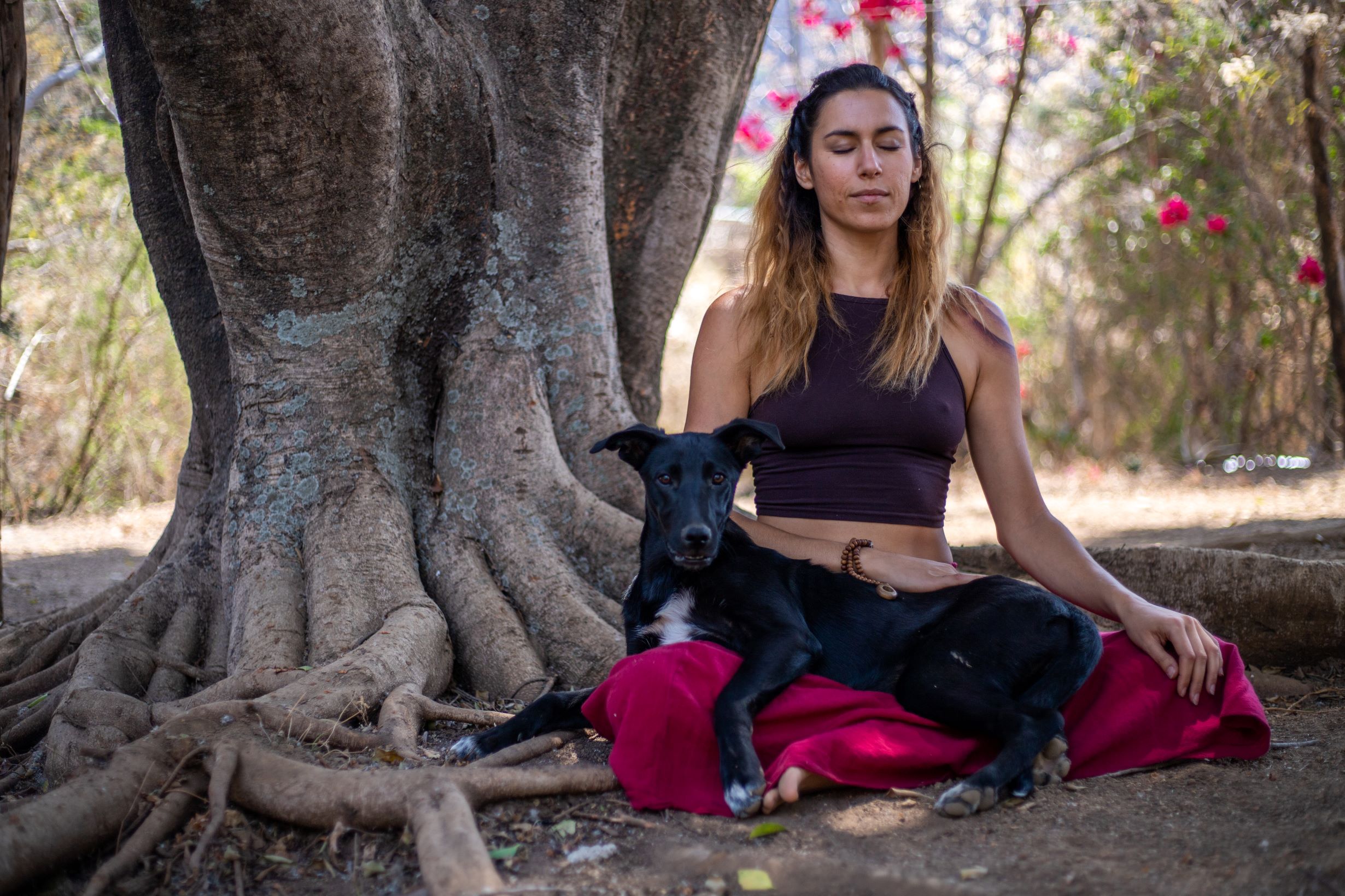 Woman sitting with her dog meditating and learning how mindful breathing can heal her life